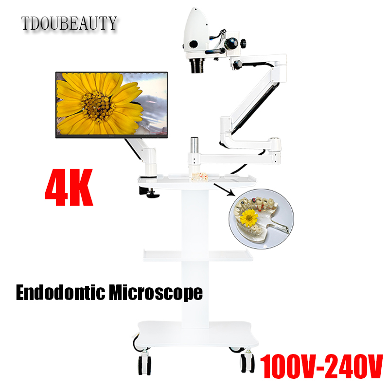 Mikroskop Elektron Gigi 4K 20  - Teeth Whitening Video ulasan dan harga