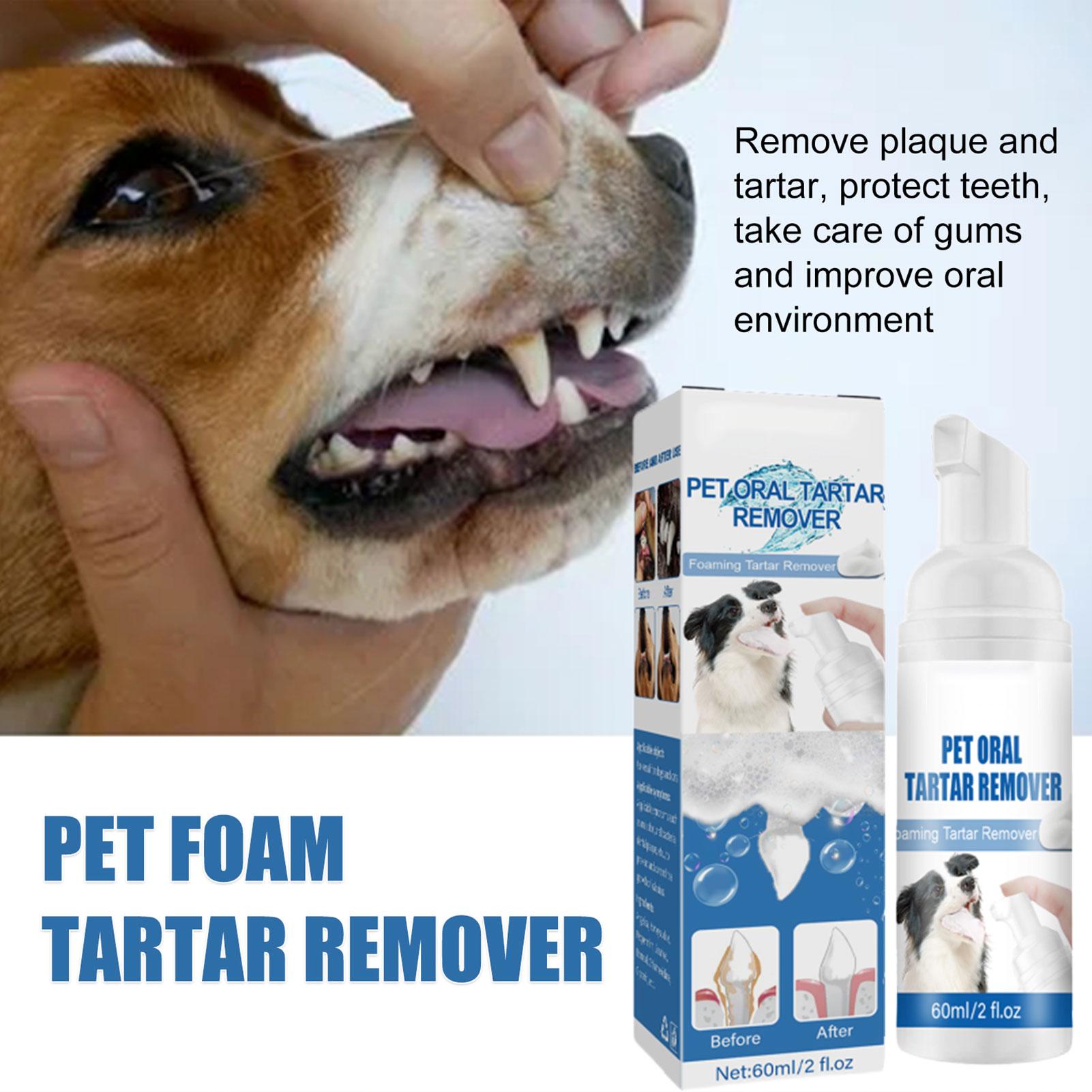 Busa Perawatan Mulut Hewan Pel - Teeth Whitening Foam ulasan dan harga